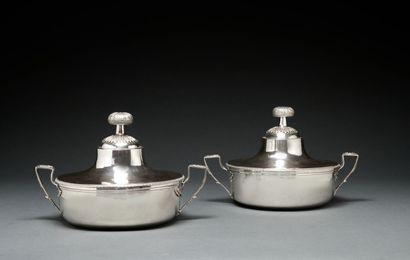 Légumiers argent